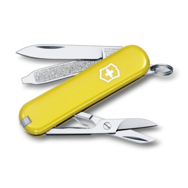 Logotrade Logogeschenke das Foto: Taschenmesser CLASSIC SD Victorinox