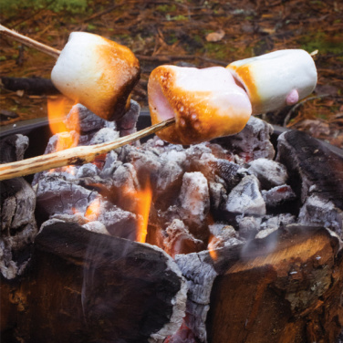 Logotrade werbemittel das Foto: Eco Grill M