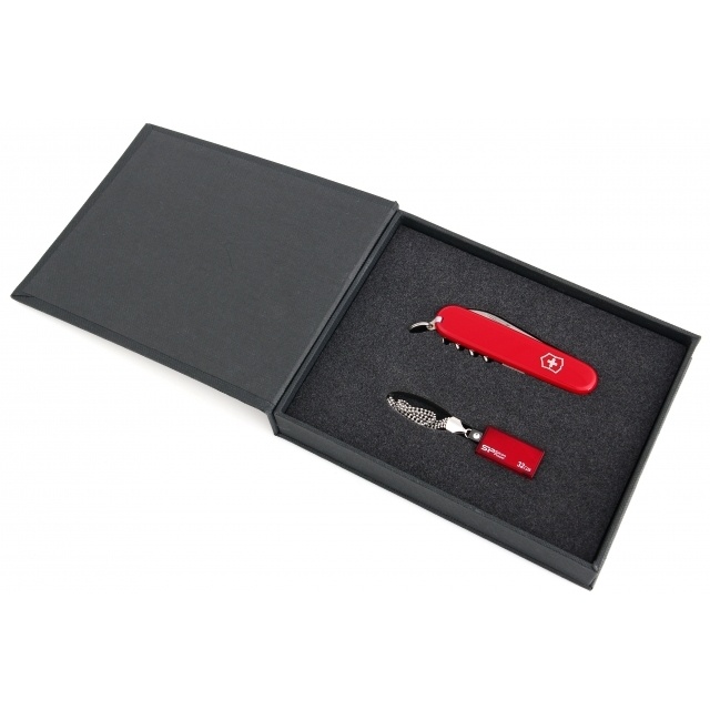 Logotrade promotional product picture of: Giftset in red colour  8GB	color red