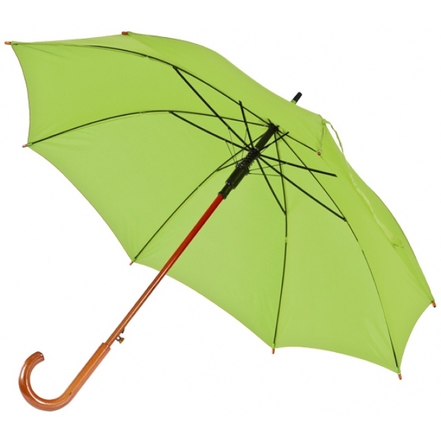 Logo trade corporate gifts picture of: Wooden automatic umbrella NANCY  color light green