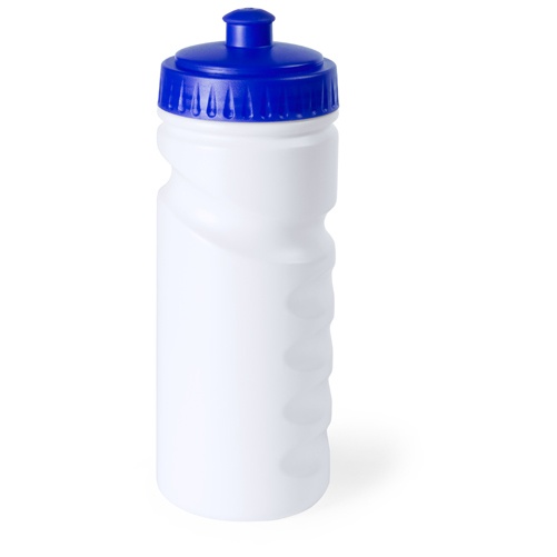 Logo trade promotional merchandise picture of: sport bottle AP741912-06 blue