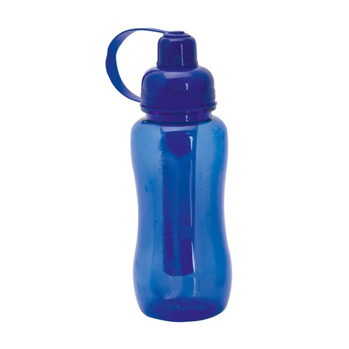 Logotrade promotional products photo of: sport bottle AP791796-06 blue