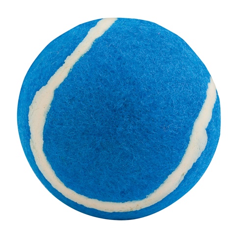 Logotrade promotional gift picture of: ball for dogs AP731417-06 blue