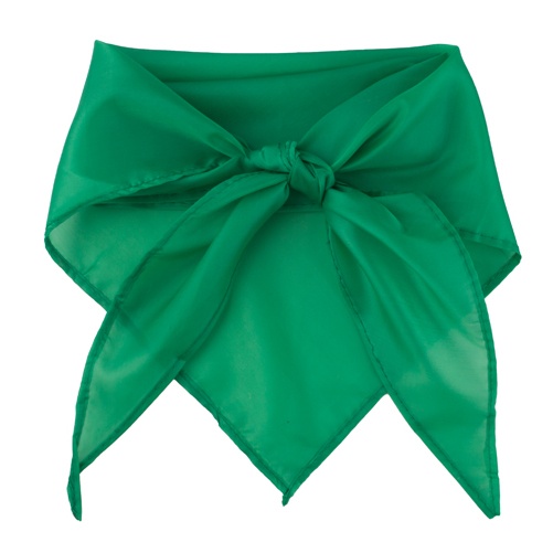 Logotrade corporate gift picture of: Triangle scarf, green