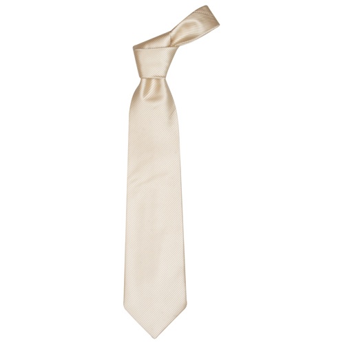 Logo trade promotional items image of: Necktie color white