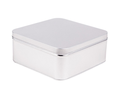 Logotrade promotional item image of: Metal box EGOP37, hõbedane