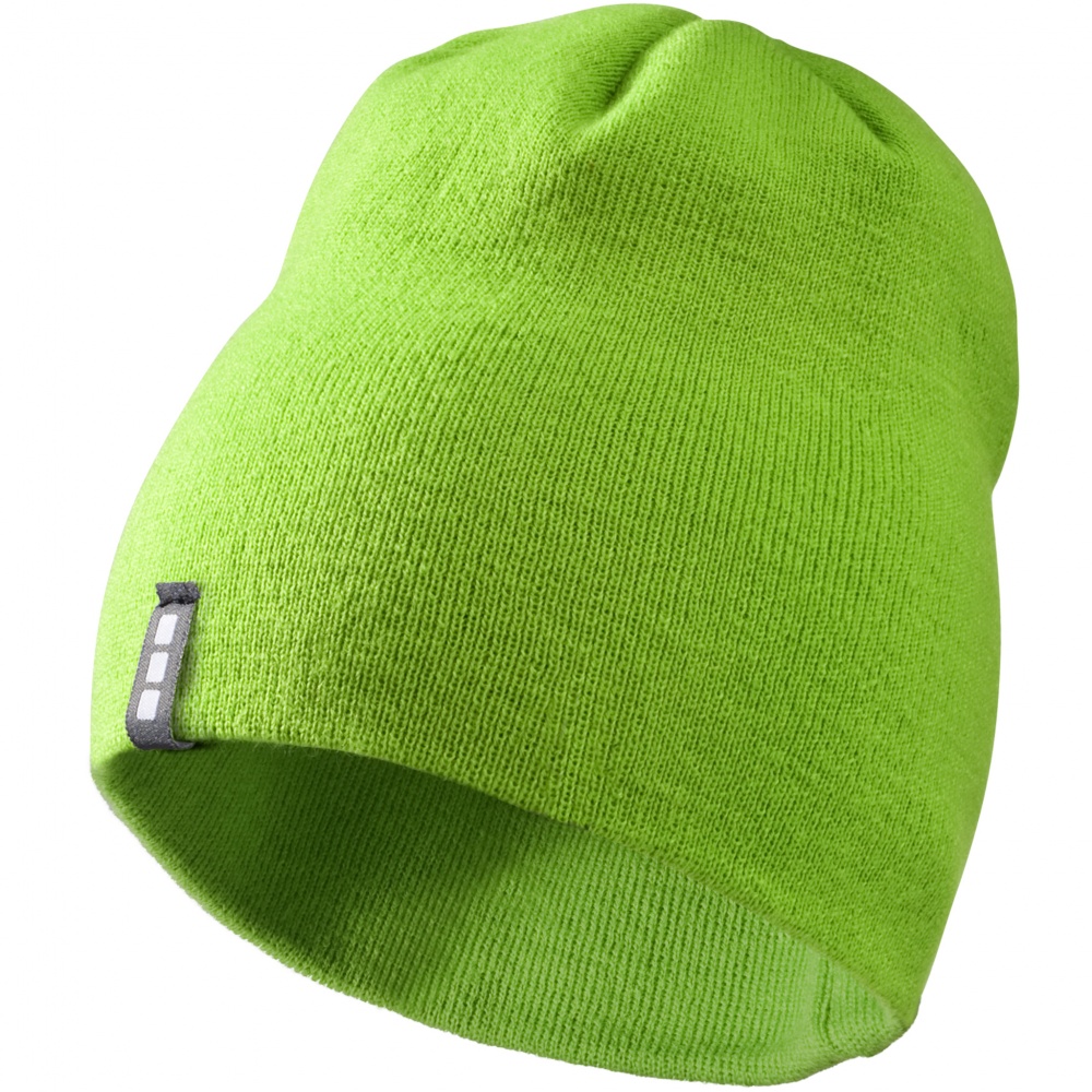 Logotrade promotional giveaways photo of: Level Beanie, light green