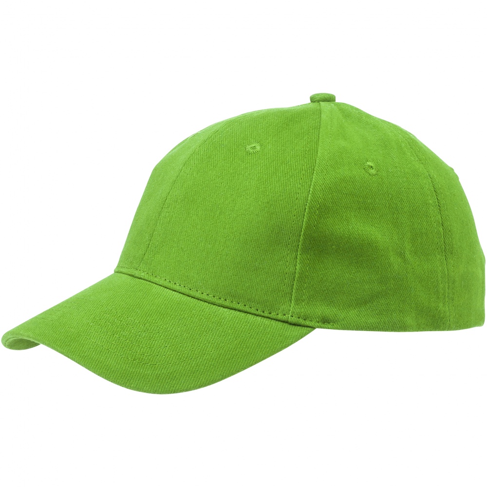 Logo trade corporate gifts picture of: Bryson 6 panel cap, light green