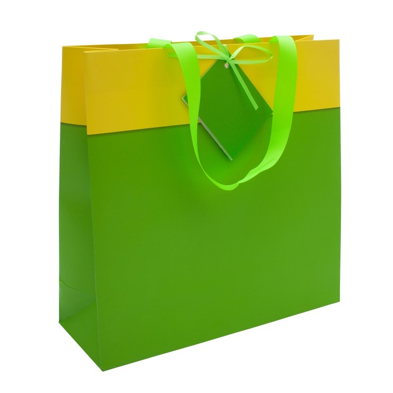 Logotrade promotional gift image of: Gift bag, green/yellow