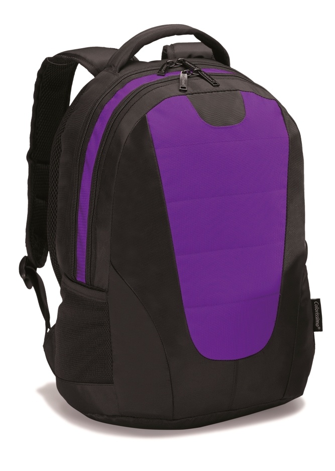 Logo trade promotional merchandise photo of: COLORISSIMO LAPTOP  BACKPACK 14’, purple