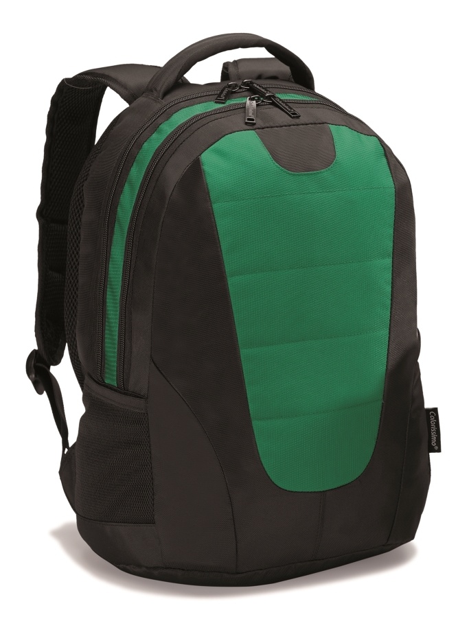 Logotrade promotional giveaways photo of: COLORISSIMO LAPTOP  BACKPACK 14’, green