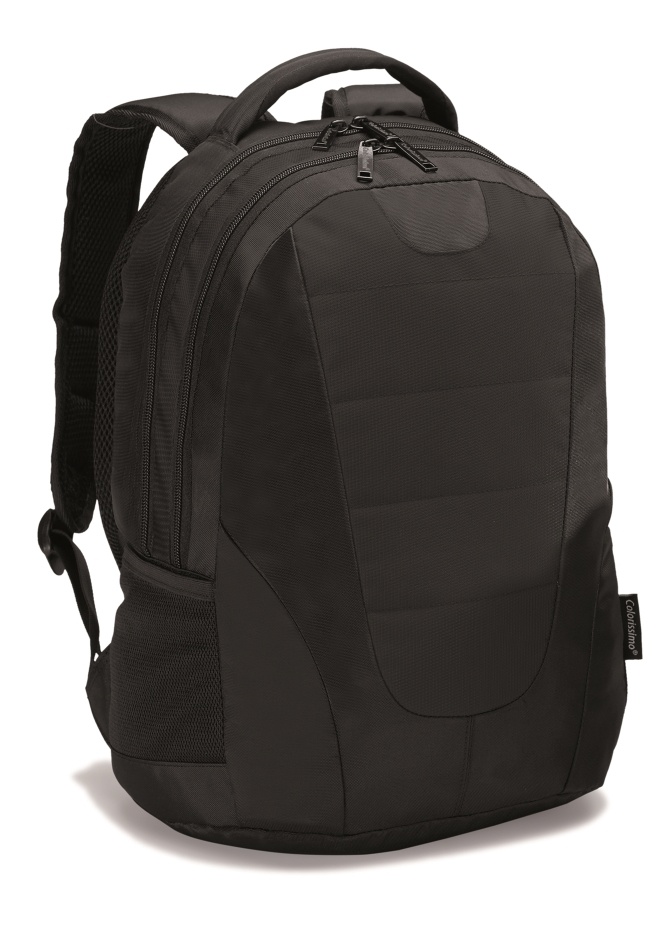 Logotrade promotional gift image of: COLORISSIMO LAPTOP  BACKPACK 14’, black