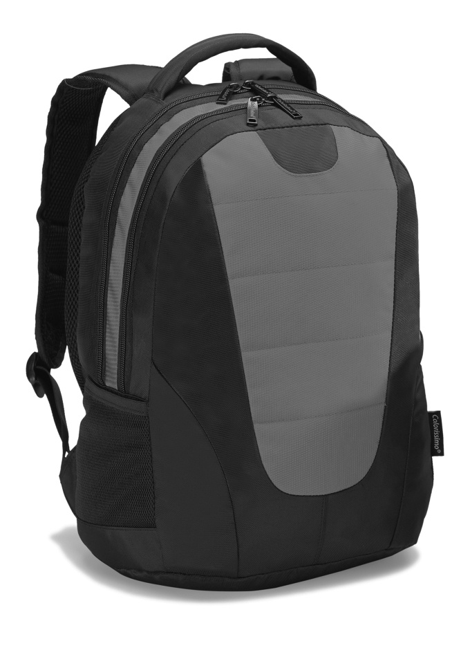 Logotrade advertising products photo of: COLORISSIMO LAPTOP  BACKPACK 14’, grey