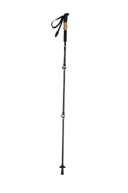 Logo trade corporate gifts picture of: Trekking poles Denali, black