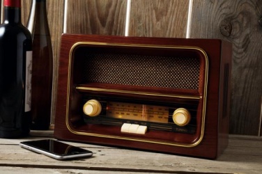 Logo trade promotional merchandise image of: AM/FM radio RECEIVER, brown