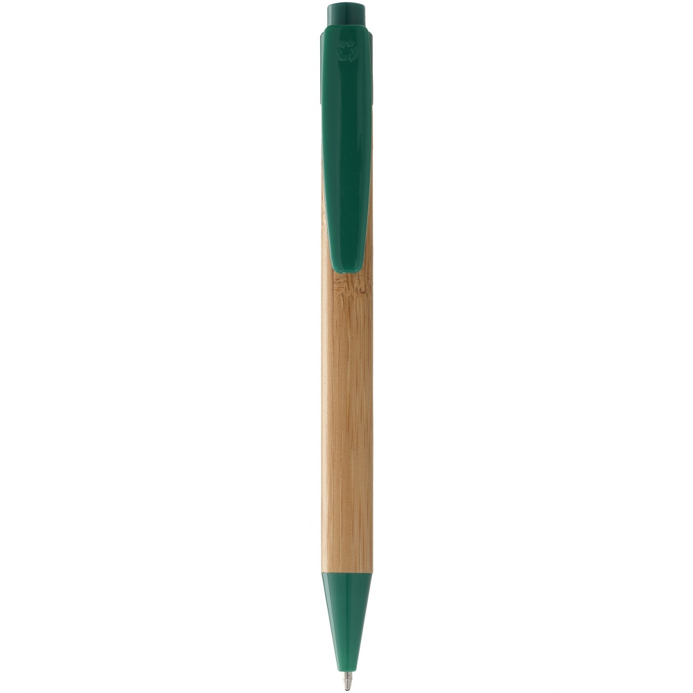 Logo trade advertising product photo of: Borneo ballpoint pen, green