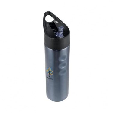 Logotrade promotional product image of: Trixie stainless sports bottle, titanium