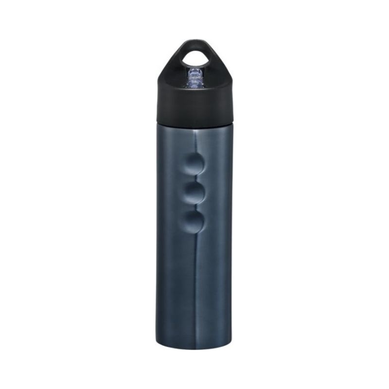 Logo trade promotional merchandise image of: Trixie stainless sports bottle, titanium