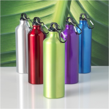 Logo trade advertising products picture of: Oregon 770 ml aluminium water bottle with carabiner