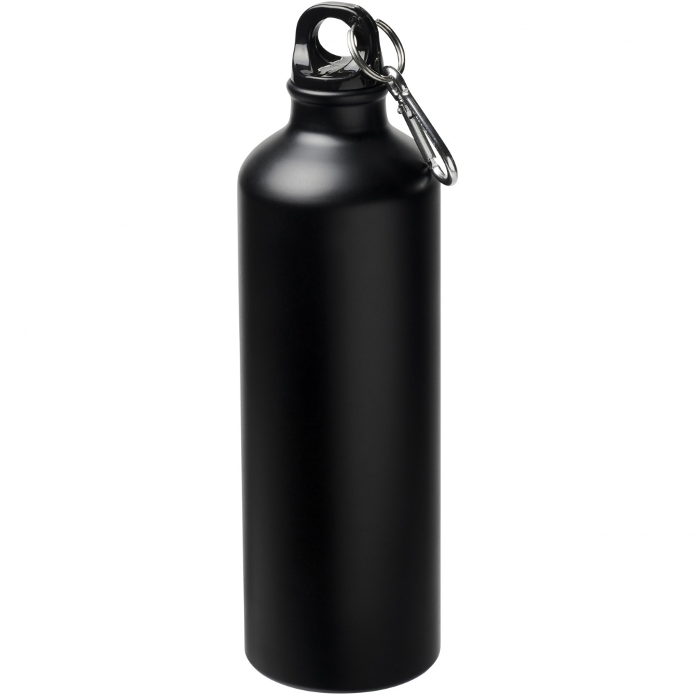 Logotrade promotional merchandise picture of: Oregon 770 ml matte water bottle with carabiner