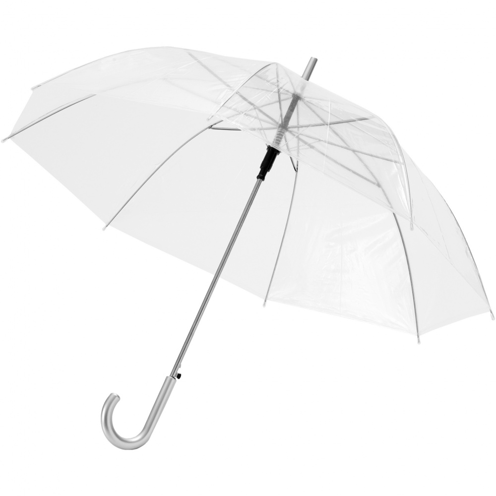 Logotrade promotional merchandise image of: Kate 23" transparent auto open umbrella