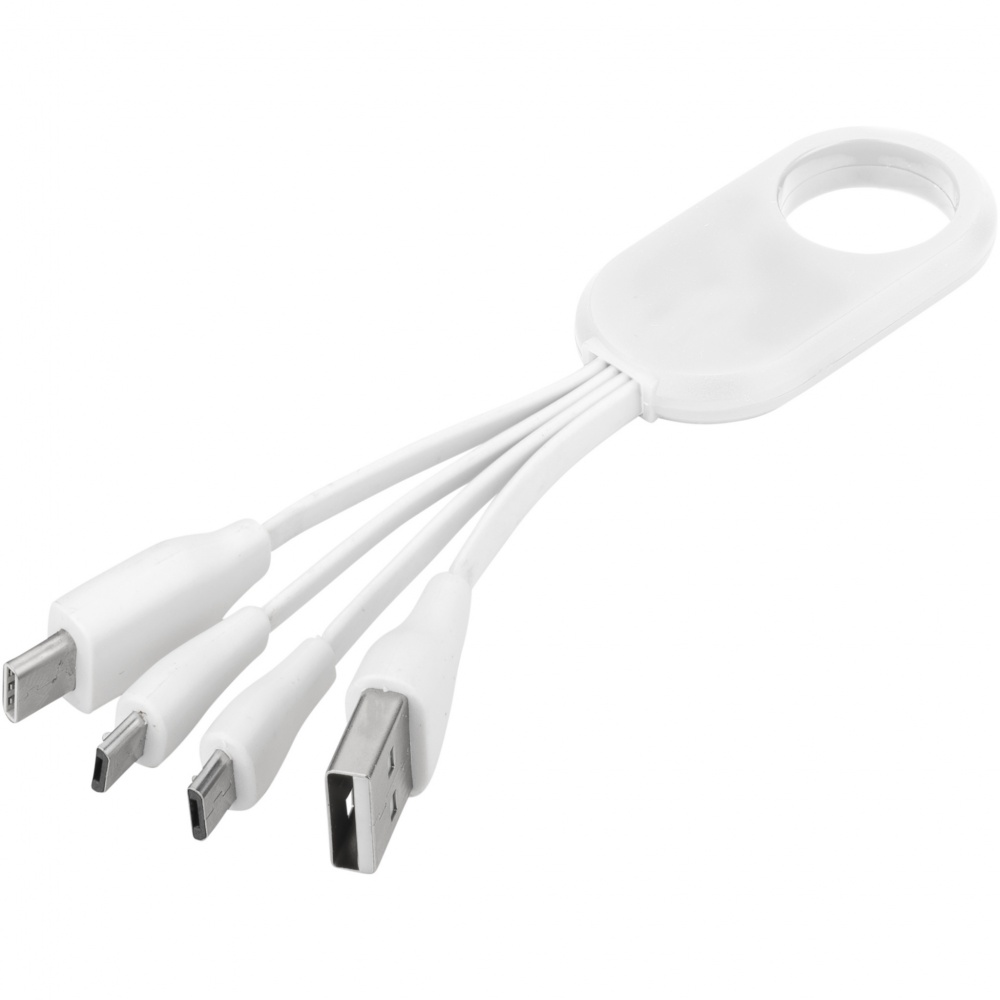 Logotrade advertising product image of: Troup 4-in-1 charging cable with type-C tip