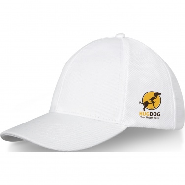 Logo trade advertising products picture of: Drake 6 panel trucker cap