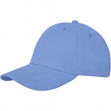 Logo trade promotional merchandise picture of: Davis 6 panel cap