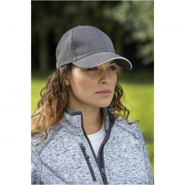 Logotrade promotional merchandise image of: Darton 6 panel sandwich cap