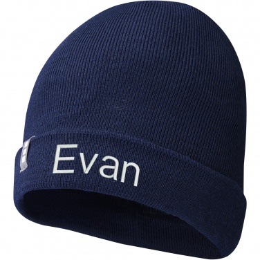 Logo trade business gifts image of: Hale Polylana® beanie