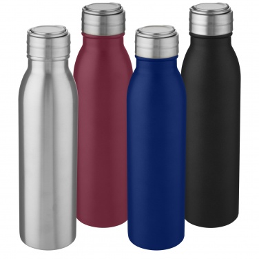 Logotrade promotional products photo of: Harper 700 ml stainless steel water bottle with metal loop