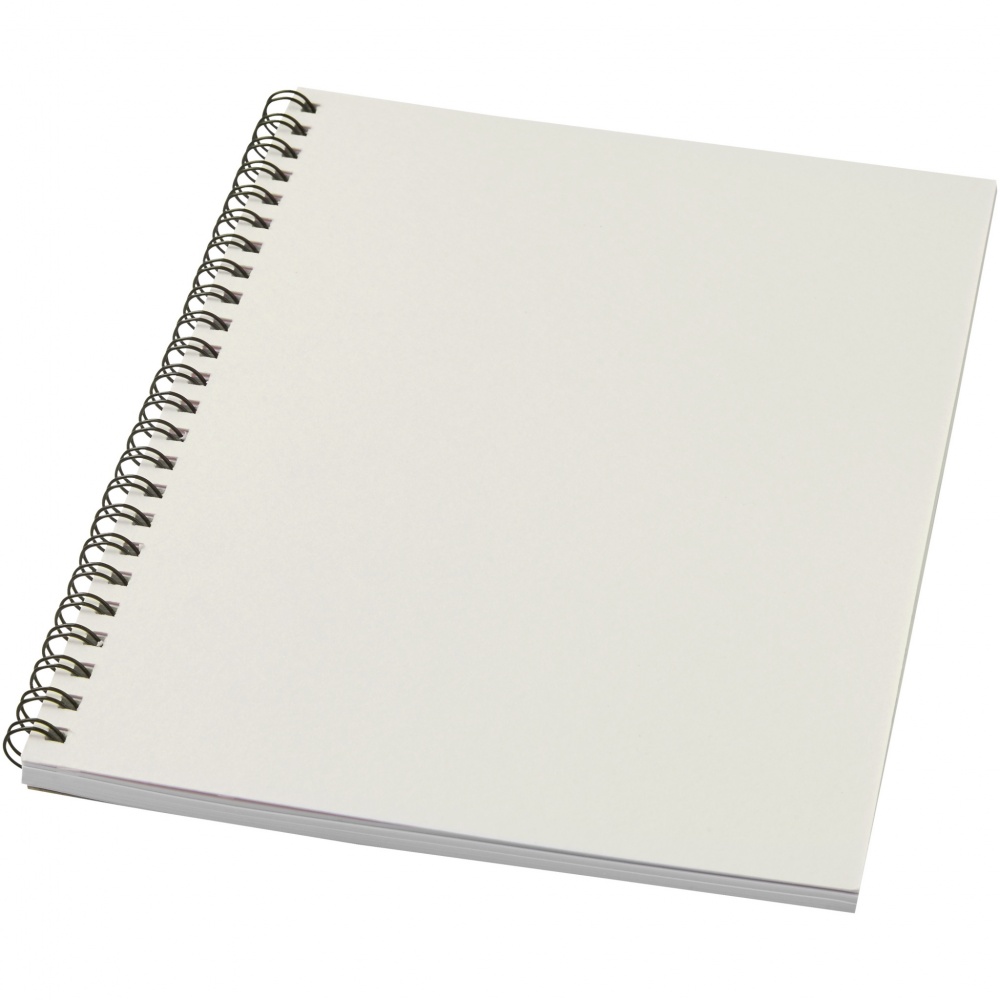 Logotrade promotional merchandise photo of: Desk-Mate® A5 colour spiral notebook