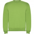 Clasica kids crewneck sweater, Oasis Green