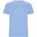 Stafford short sleeve kids t-shirt, Sky blue