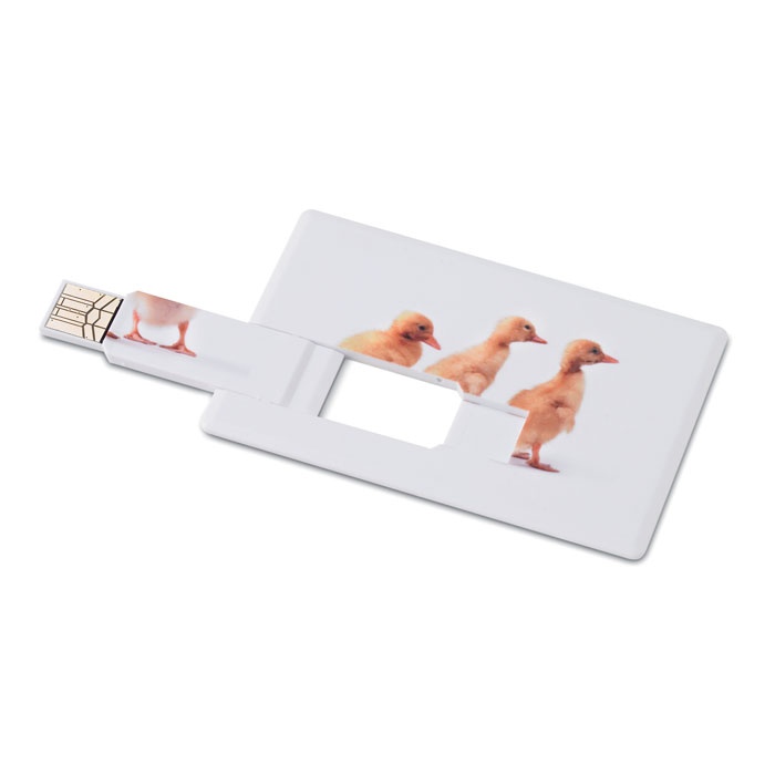 Logotrade advertising product picture of: Creditcard. USB flash 4GB