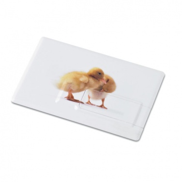 Logo trade promotional product photo of: Creditcard. USB flash 4GB