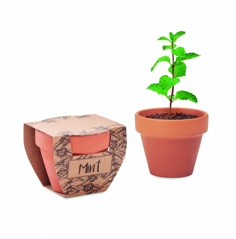 Logotrade promotional giveaway picture of: Terracotta pot mint seeds