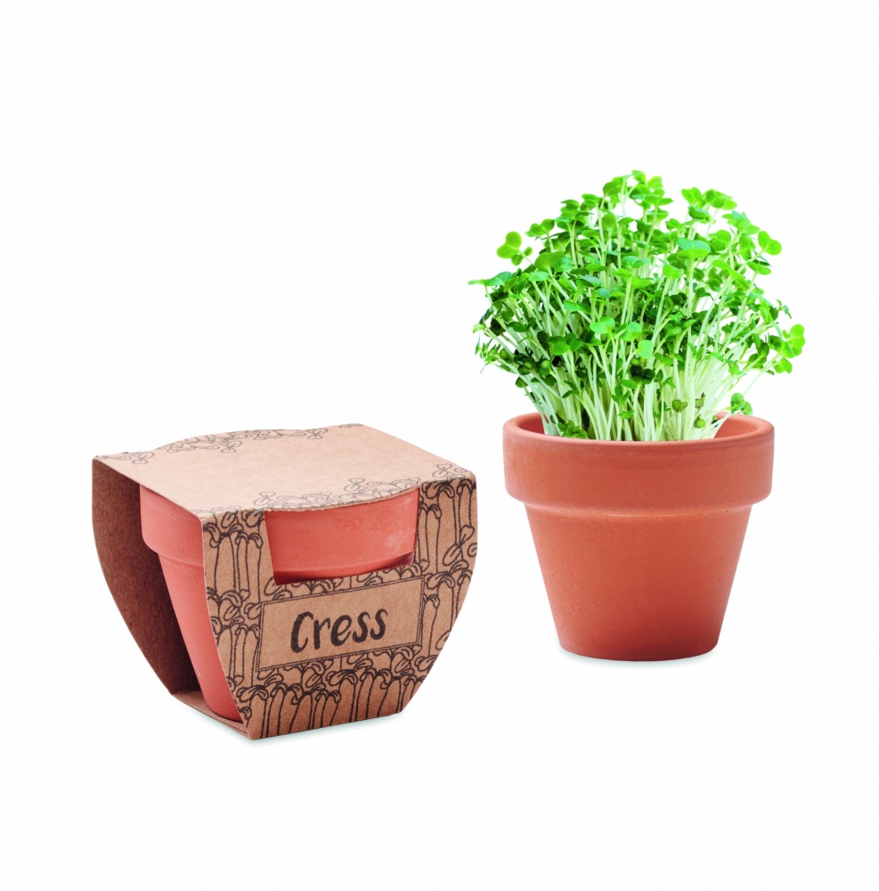 Logotrade promotional product image of: Terracotta pot cress seeds