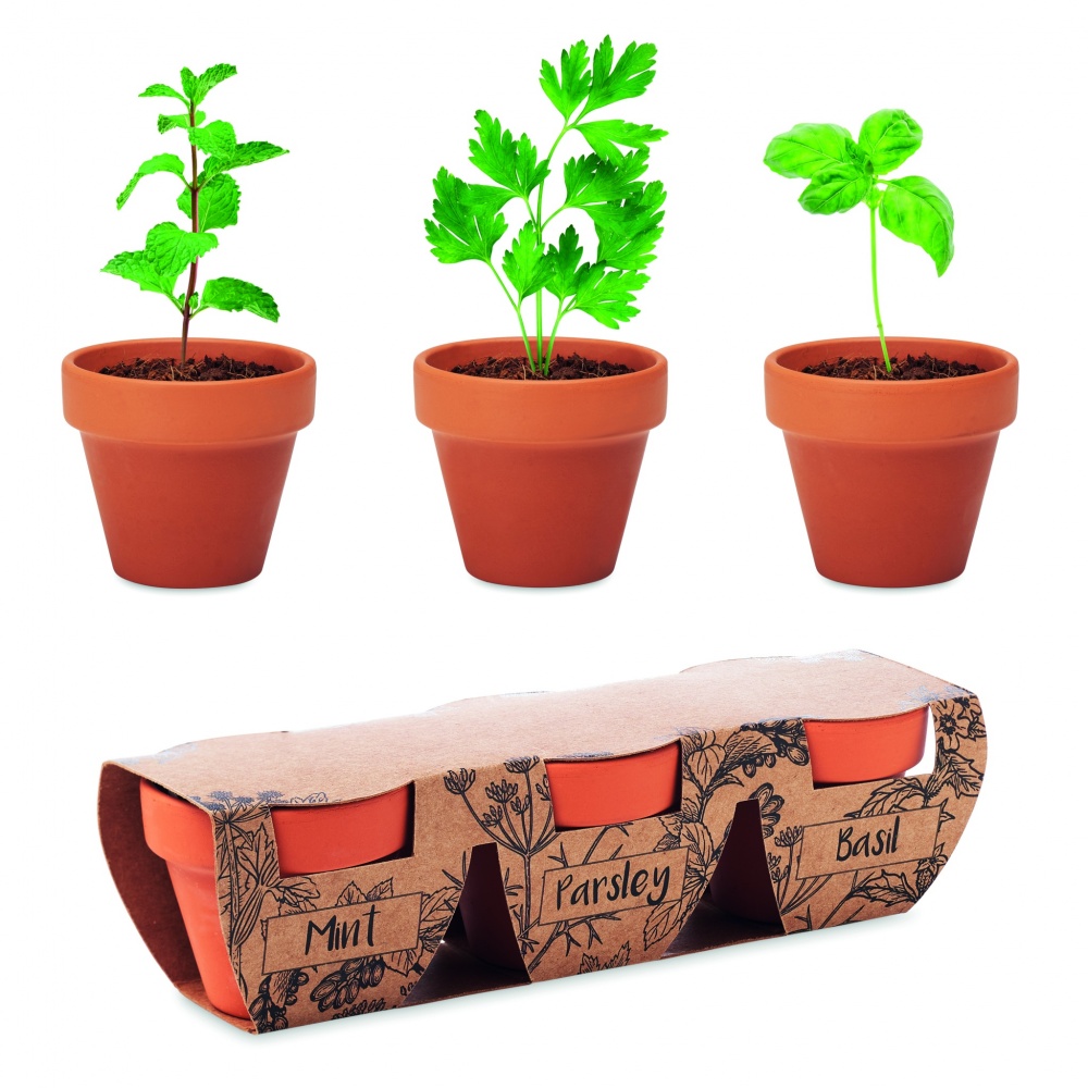 Logotrade promotional merchandise picture of: Terracotta 3 herb pot set