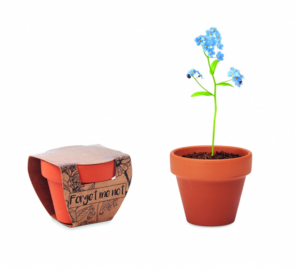 Logo trade promotional products picture of: Terracotta pot 'forget me not'