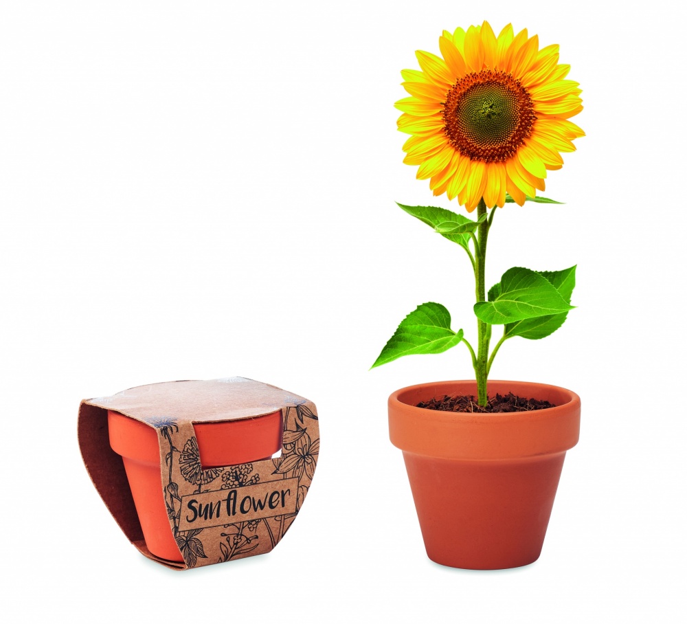 Logo trade promotional merchandise picture of: Terracotta pot 'sunflower'