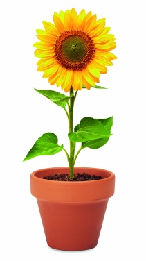 Logotrade promotional merchandise picture of: Terracotta pot 'sunflower'