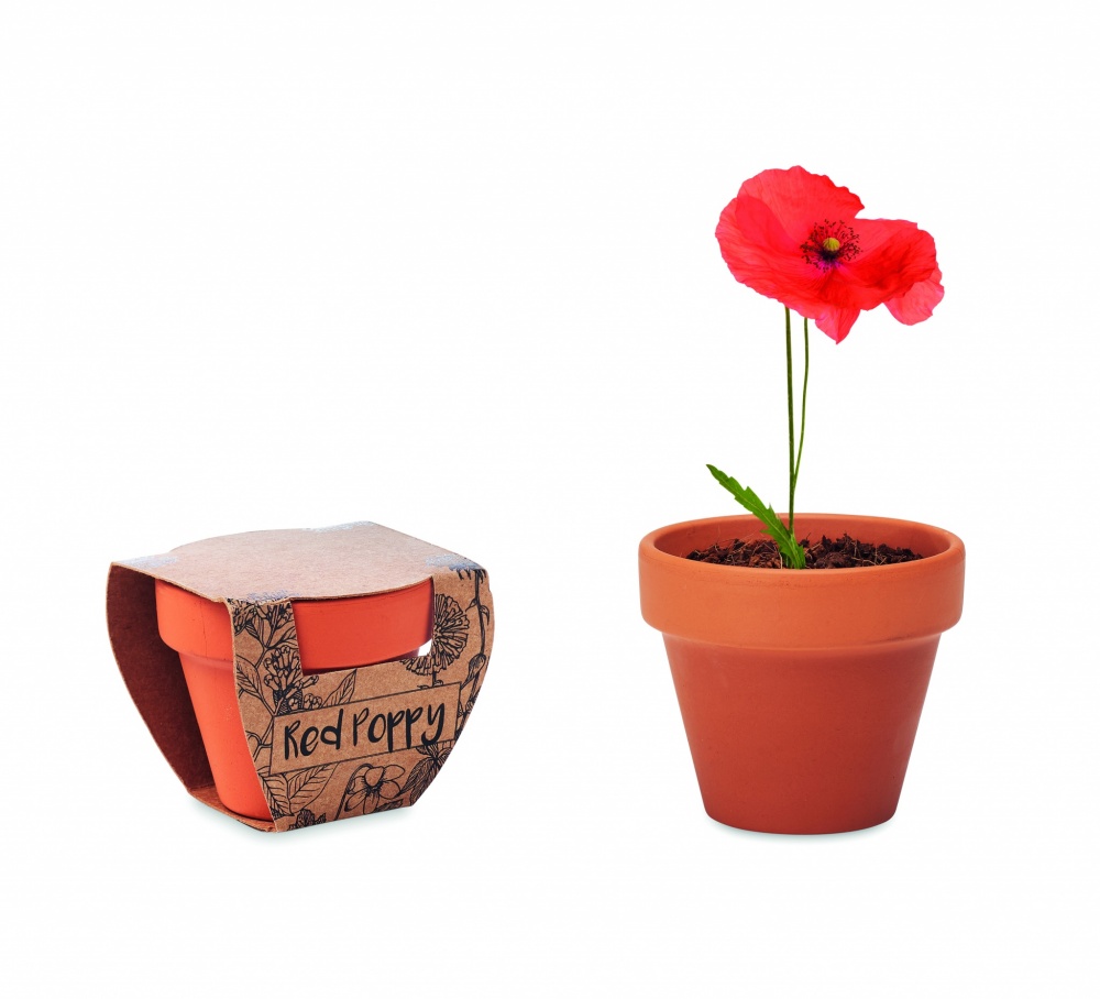 Logotrade promotional items photo of: Terracotta pot 'poppy'