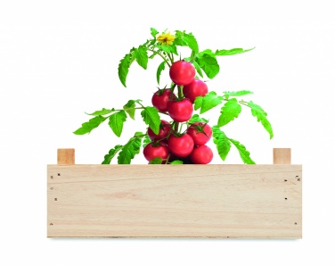 Logo trade corporate gifts image of: Tomato kit in wooden crate