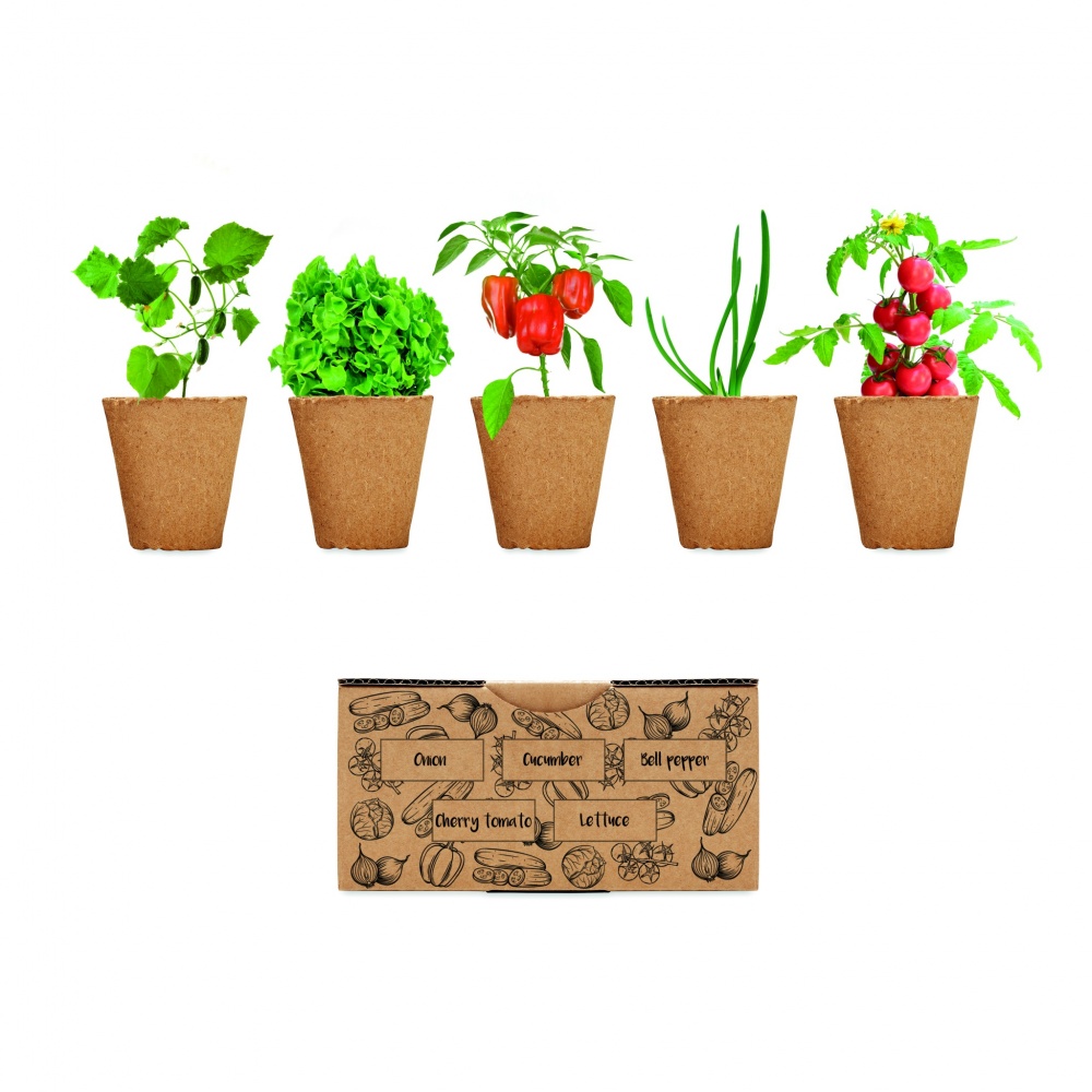 Logotrade business gift image of: Salad growing kit