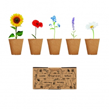 Logotrade promotional gift picture of: Flowers growing kit