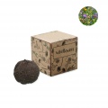 Seed bomb growing kit, Beige