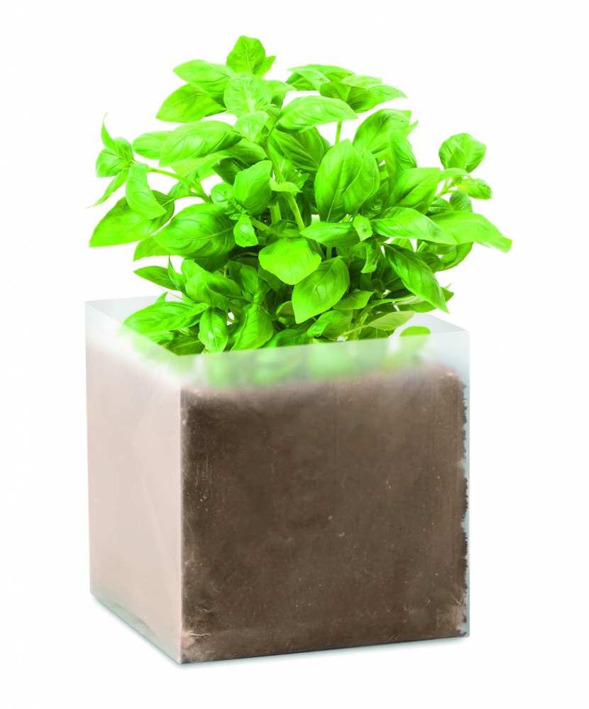 Logo trade corporate gift photo of: Compost with seeds "BASIL"