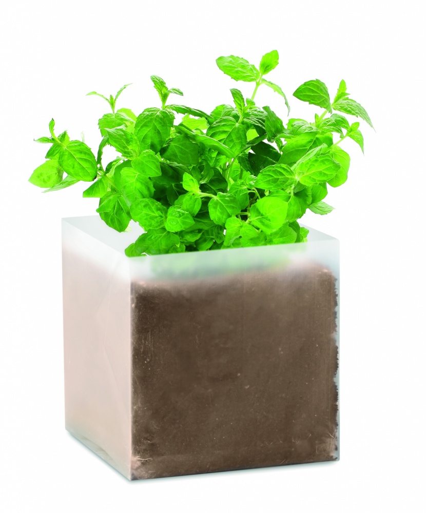 Logotrade advertising product picture of: Compost with seeds "MINT"