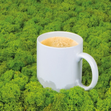 Logotrade promotional merchandise photo of: Ceramic mug MONZA 300 ml